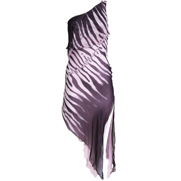 Roberto Cavalli Dresses & Skirts - Roberto Cavalli 2000s Asymmetrical Zebra Dress